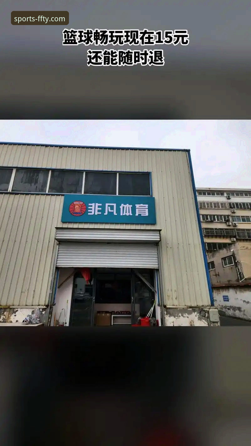 非凡体育官网最新地址获取与高效使用教程